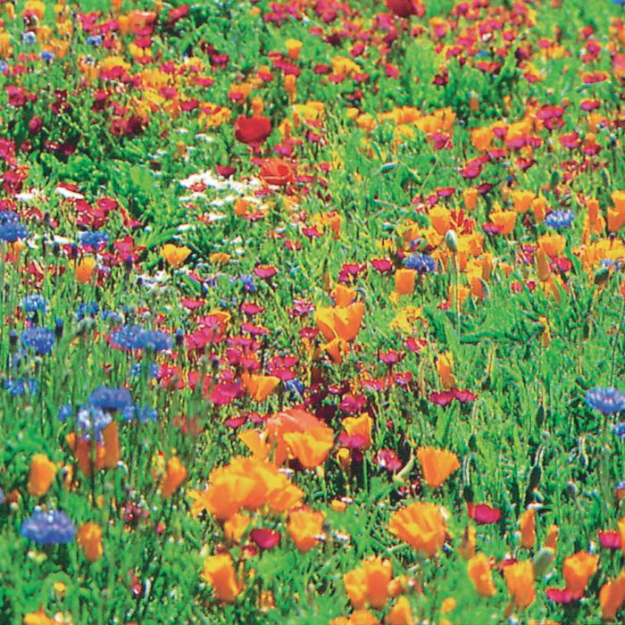 Are you a Landscape Architect?
